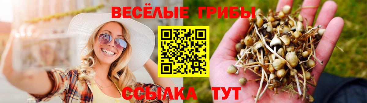 Псилоцибиновые грибы мицелий  Псилоцибиновые грибы ЛСД  где продают   Вход с VPN  Керчь 